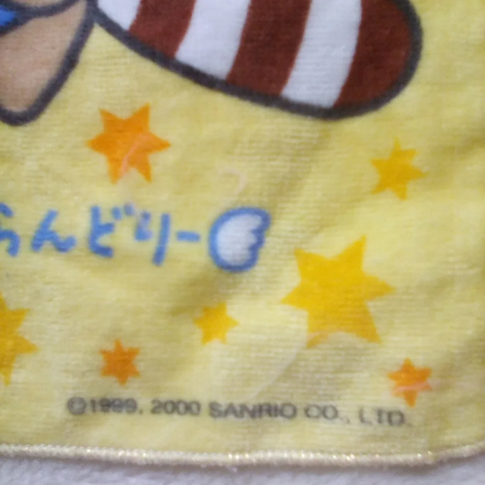 NEW! (unused Y2K) Sanrio From Japan Landry Raccoon (Hello Kitty Friend)